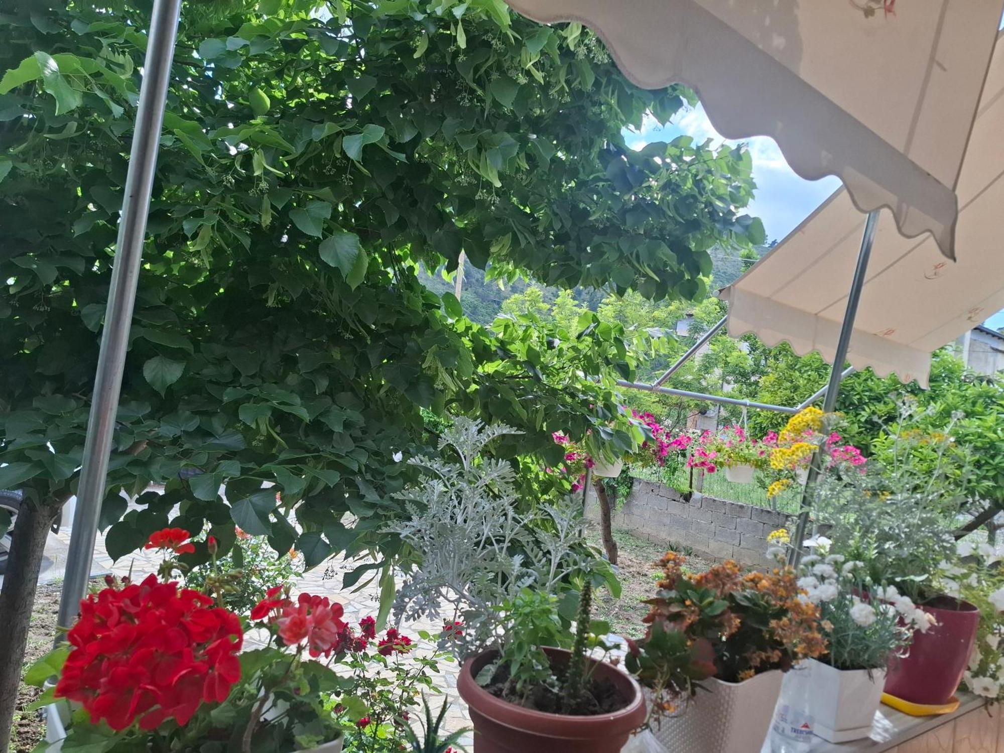 Apartment Xheison Берат Екстер'єр фото